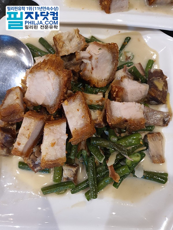 필자닷컴 야외이벤트