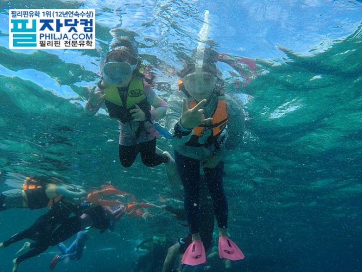 필자닷컴 액티비티 호핑투어