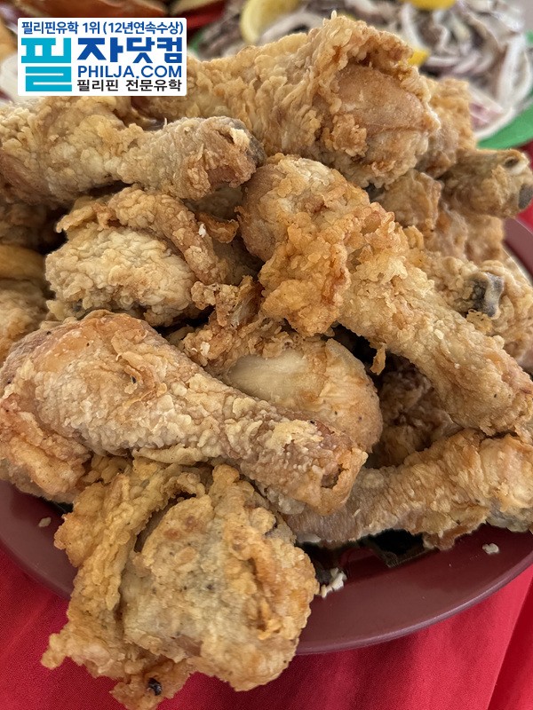 필자닷컴 액티비티 호핑투어