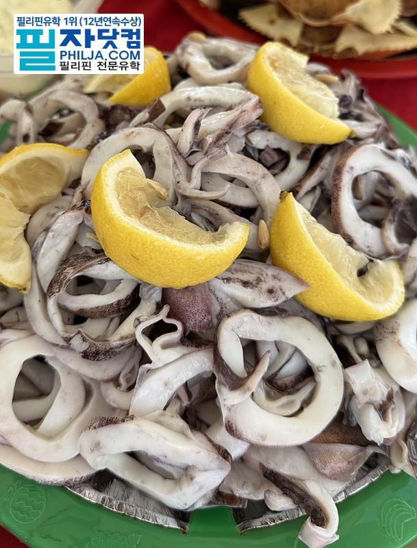 필자닷컴 액티비티 호핑투어