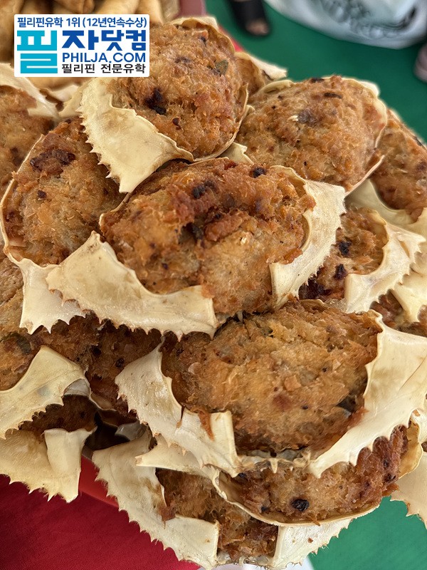 필자닷컴 액티비티 호핑투어