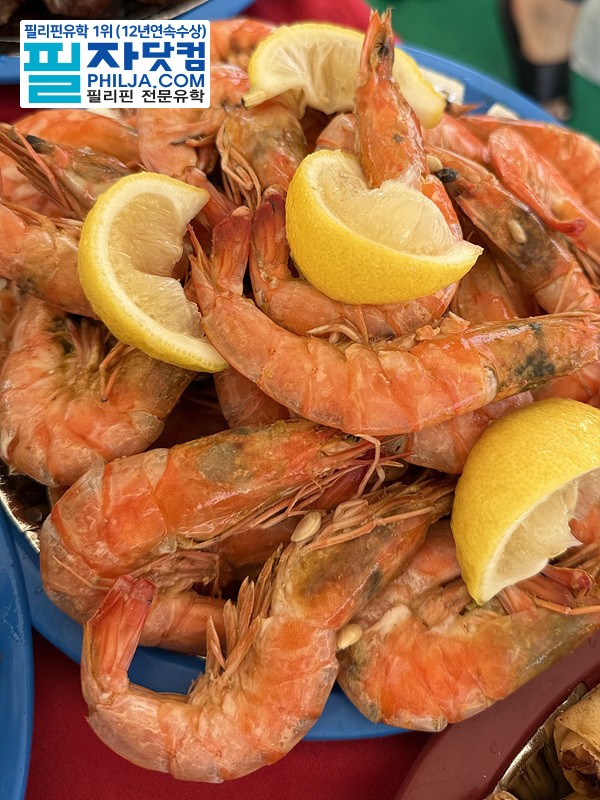 필자닷컴 액티비티 호핑투어