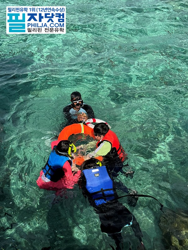 필자닷컴 액티비티 호핑투어