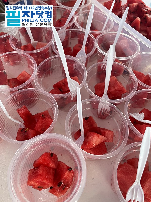 필자닷컴 액티비티 호핑투어