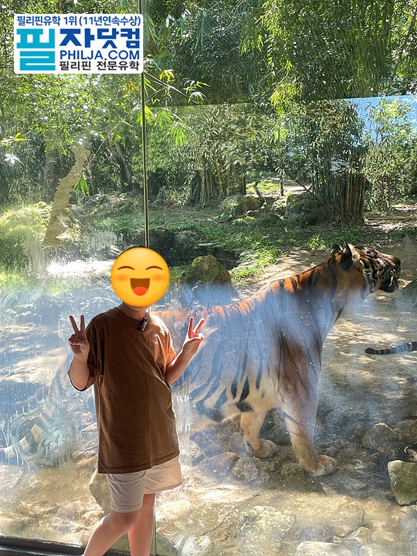 2aacf0dc073d050c5ea1ebdf0c4eddbe_1738547829_509.jpg