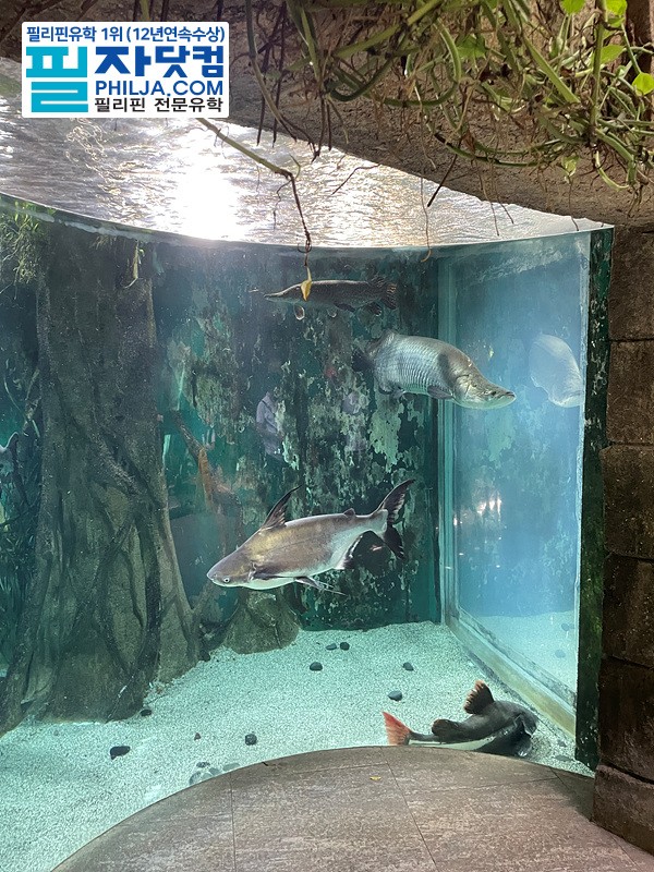 필자닷컴 액티비티 현장사진