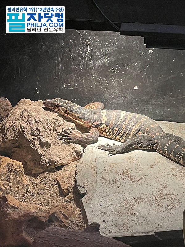 필자닷컴 액티비티 현장사진