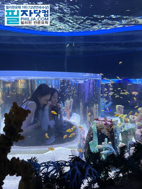 필자닷컴 액티비티 현장사진