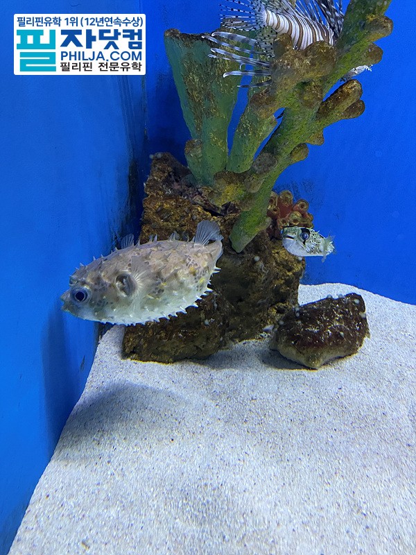 필자닷컴 액티비티 현장사진