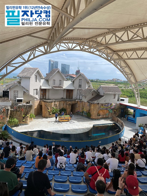 필자닷컴 액티비티 현장사진