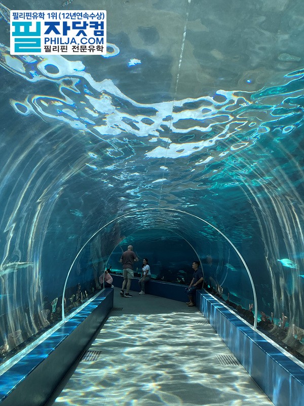 필자닷컴 액티비티 현장사진