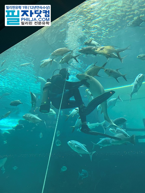 필자닷컴 액티비티 현장사진