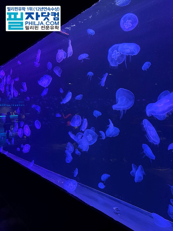 필자닷컴 액티비티 현장사진