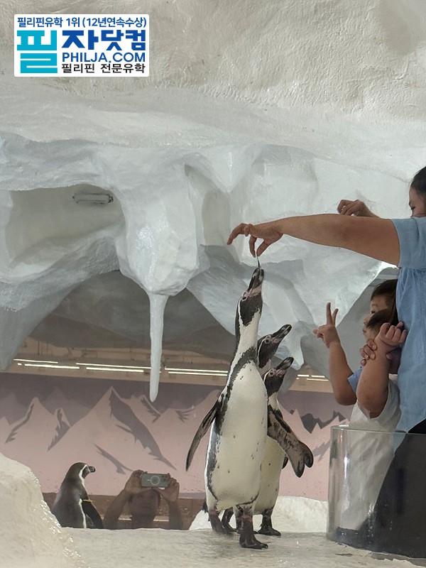 필자닷컴 액티비티 현장사진