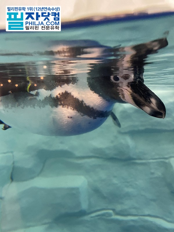 필자닷컴 액티비티 현장사진