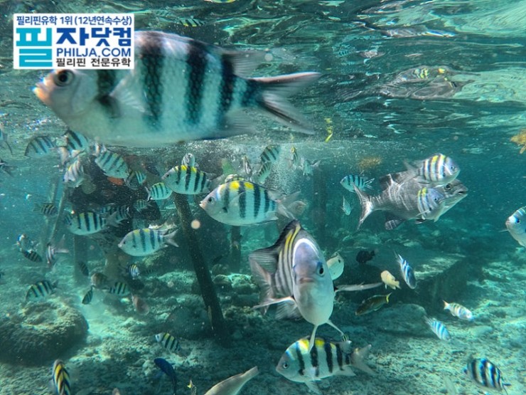 필자닷컴 액티비티 사진