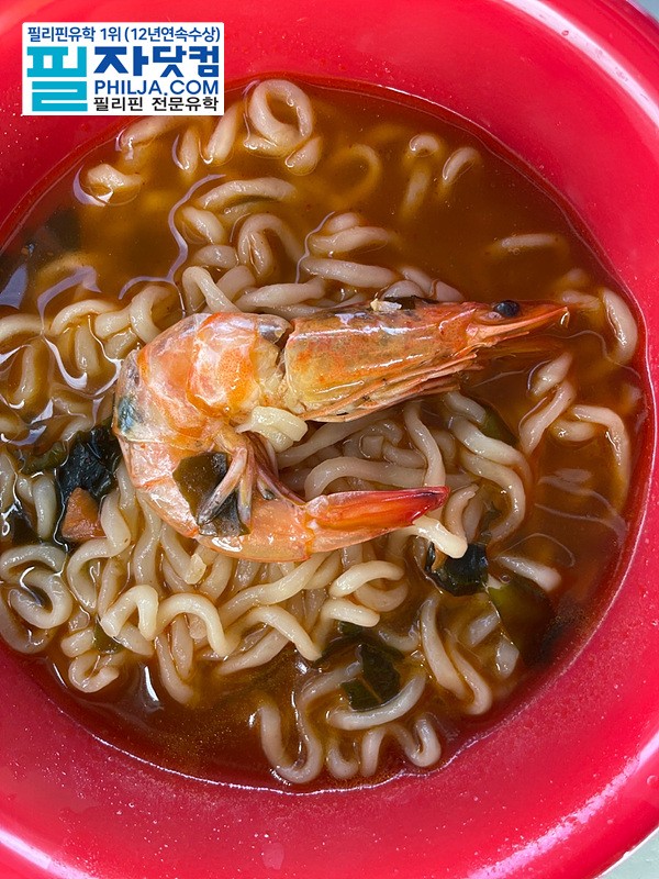 필자닷컴 액티비티 사진