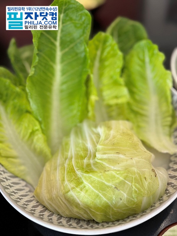 필자닷컴 주말이벤트