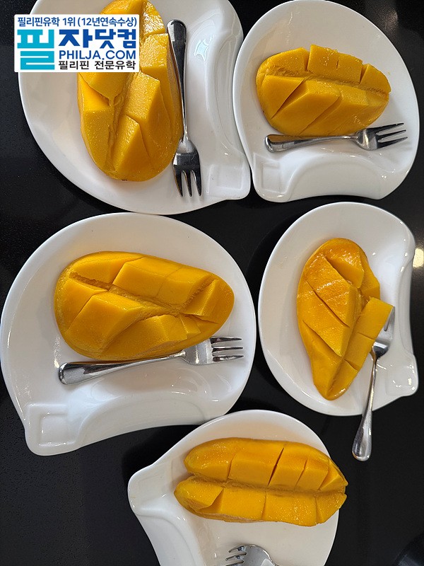 필자닷컴 주말이벤트