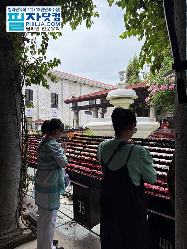 필자닷컴 주말이벤트