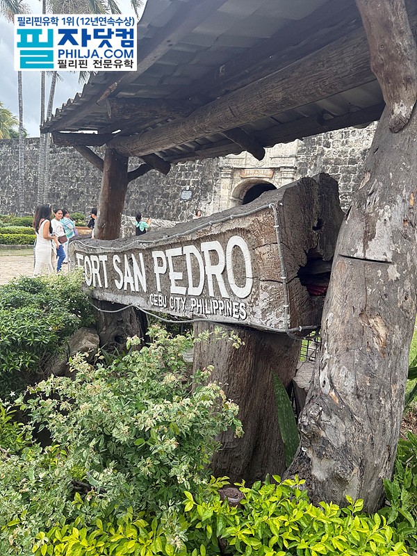 필자닷컴 주말이벤트