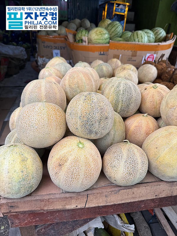 필자닷컴 주말이벤트