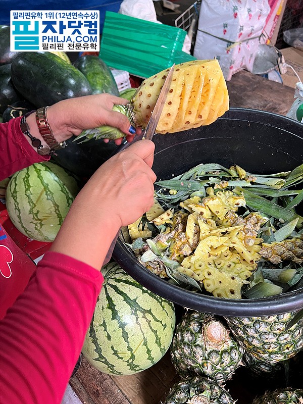 필자닷컴 주말이벤트