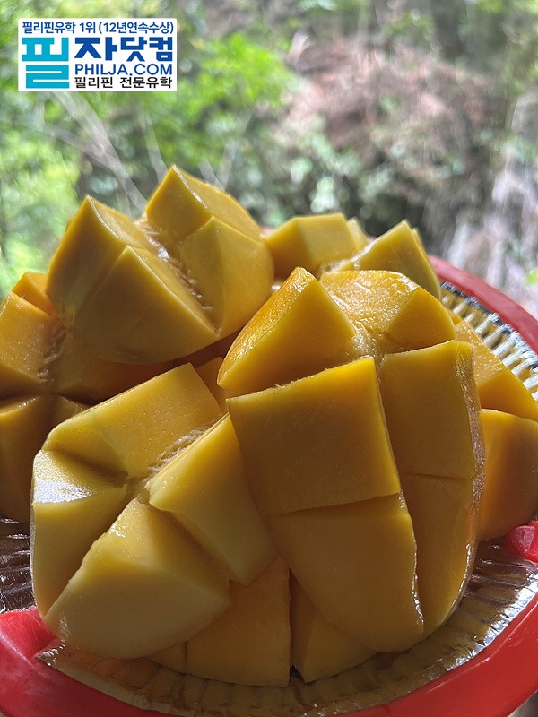 필리핀 온천 액티비티 사진