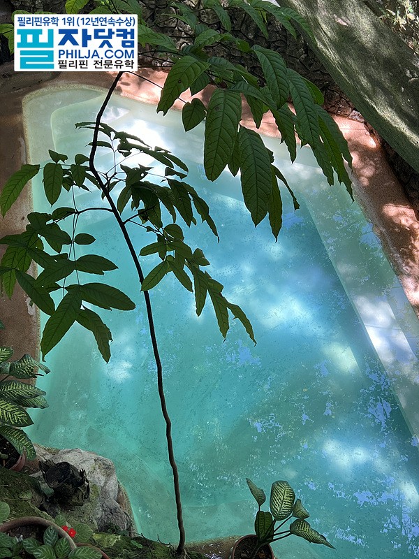 필리핀 온천 액티비티 사진