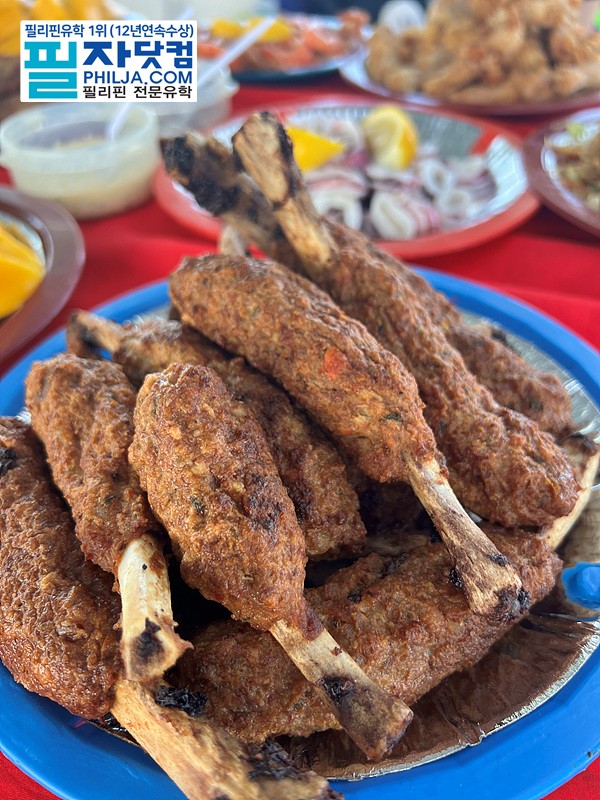 필자닷컴 필리핀 호핑투어