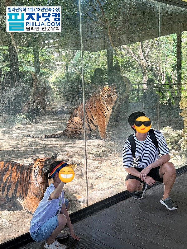 필자닷컴 액티비티 후기