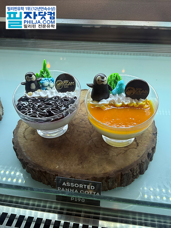 필자닷컴 액티비티