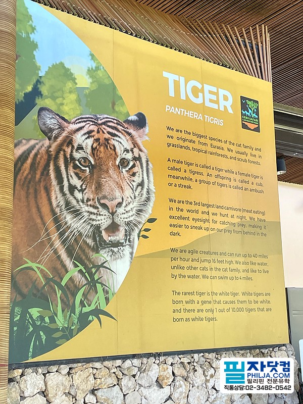 필자닷컴 액티비티