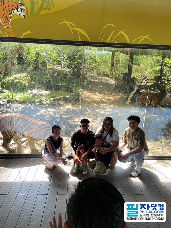 필자닷컴 액티비티