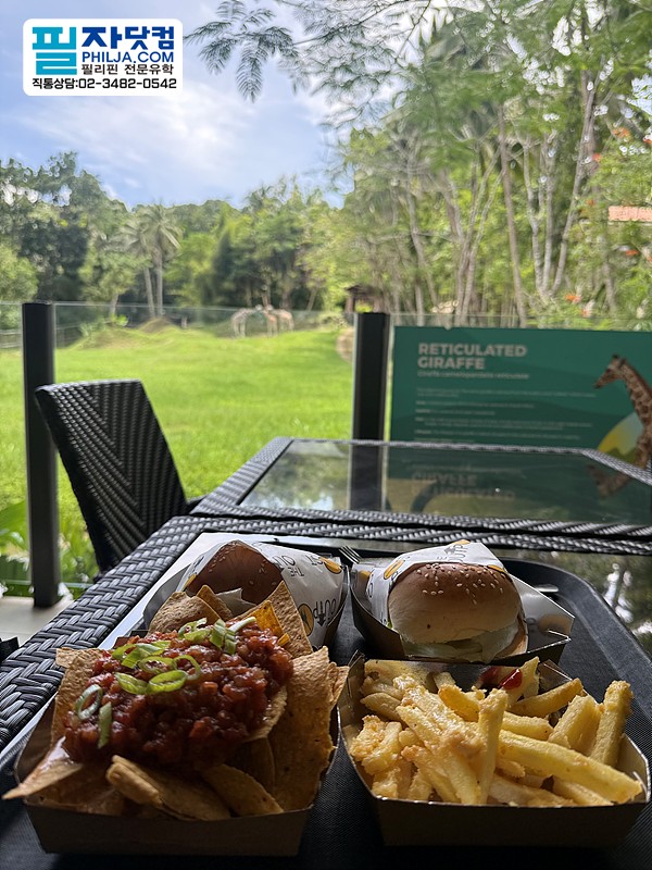 필자닷컴 액티비티