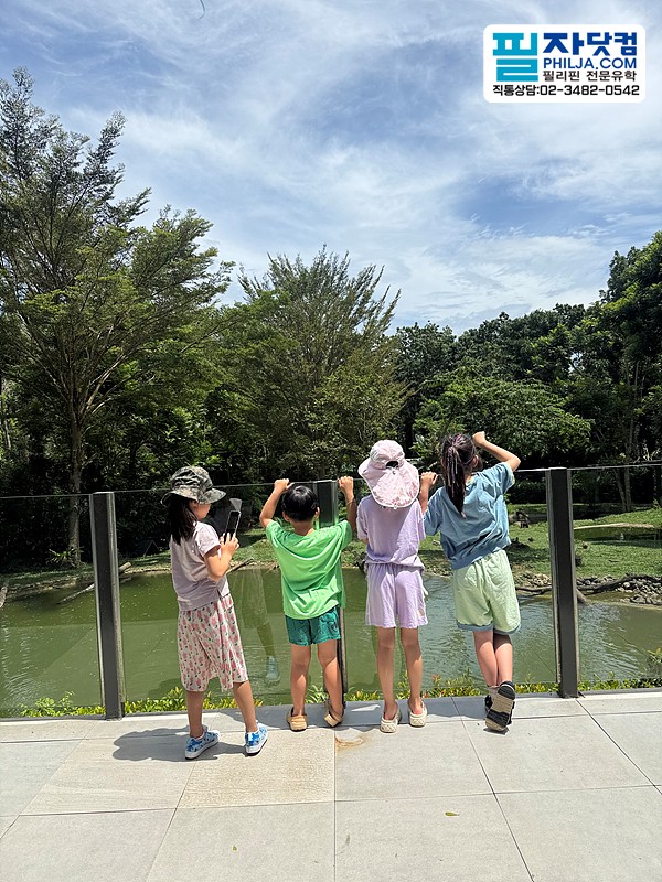 필자닷컴 액티비티