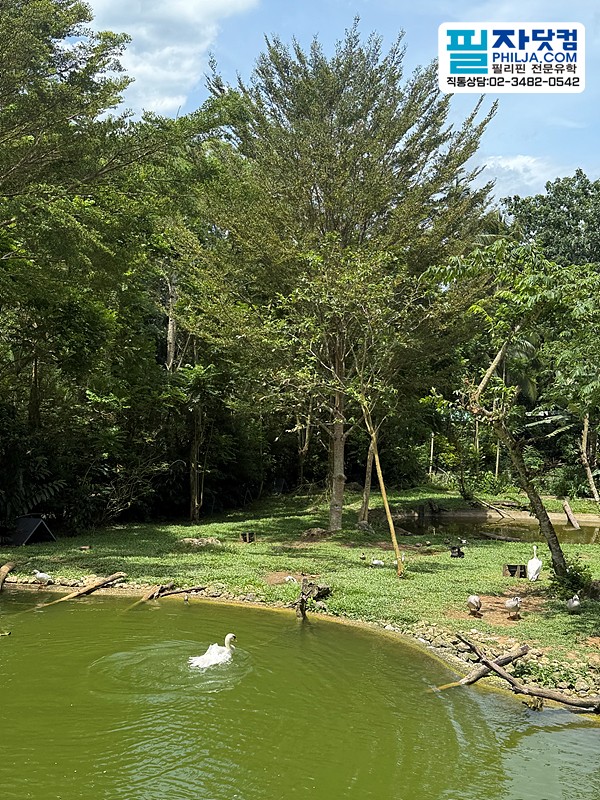 필자닷컴 액티비티