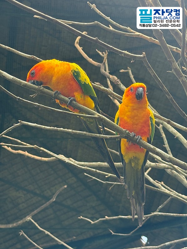 필자닷컴 액티비티