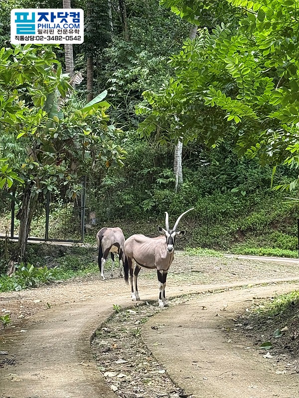 필자닷컴 액티비티