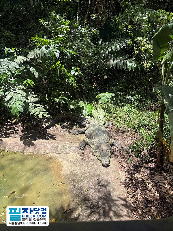 필자닷컴 액티비티