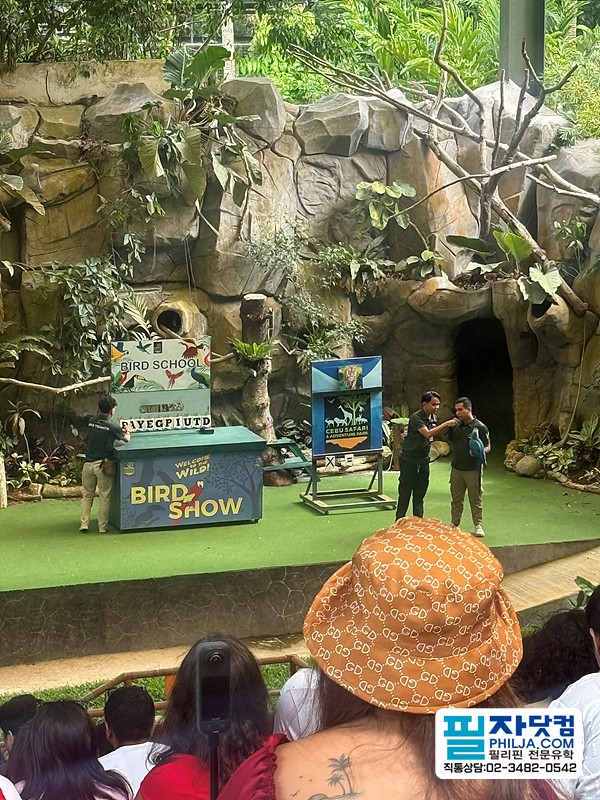 필자닷컴 액티비티