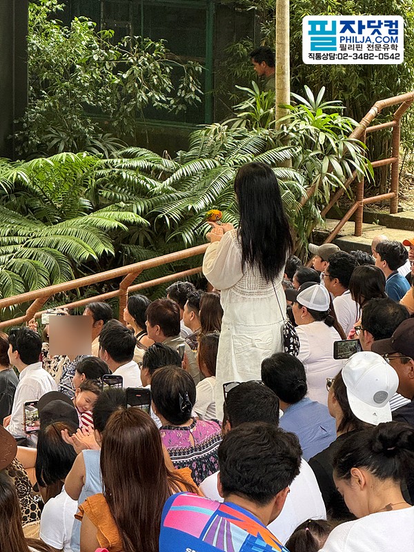 필자닷컴 액티비티