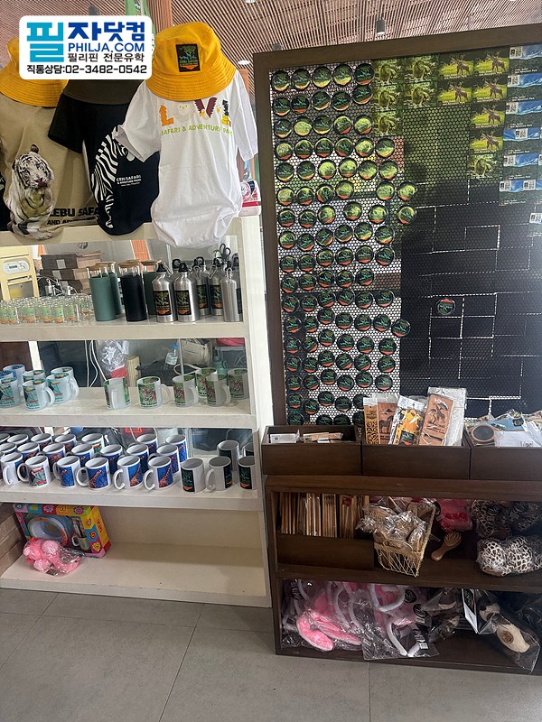 필자닷컴 액티비티