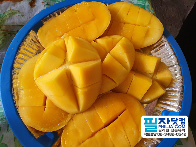필자닷컴 액티비티