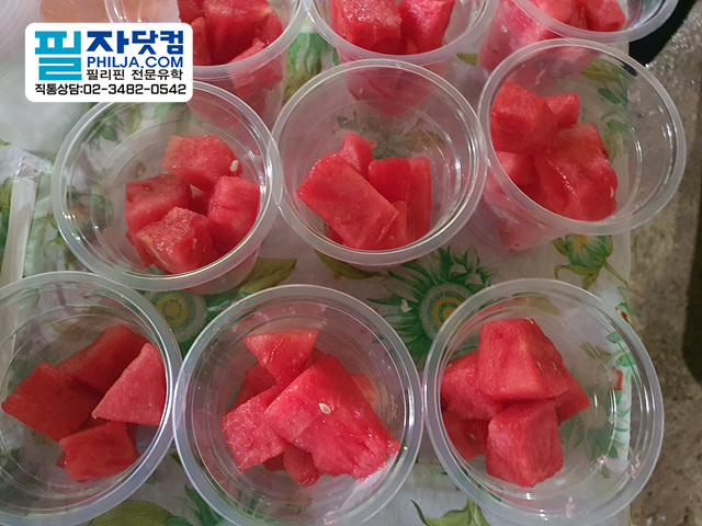 필자닷컴 액티비티