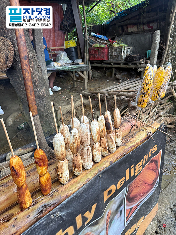 필자닷컴 시티투어