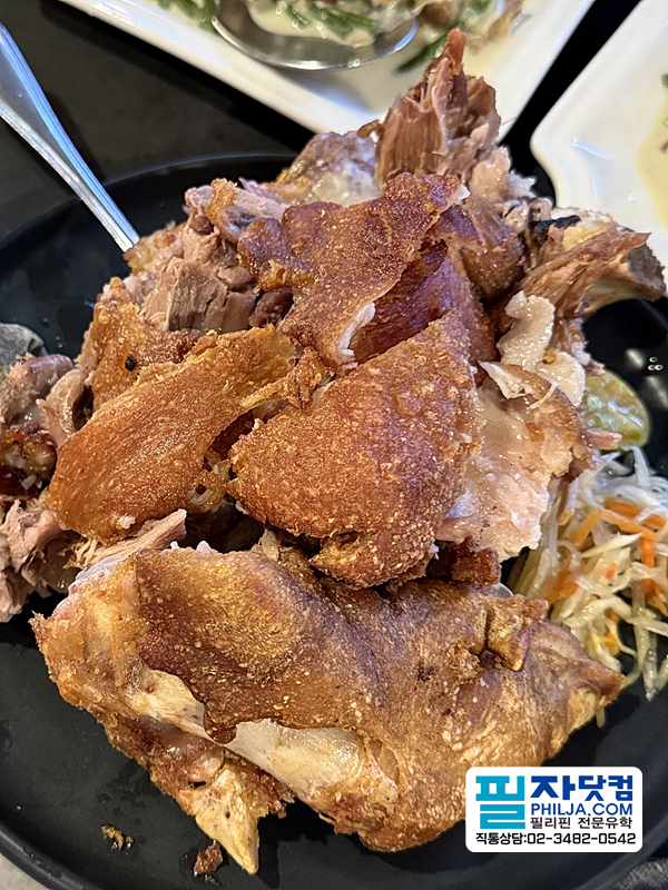 필자닷컴 시티투어