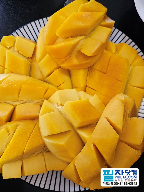 필자닷컴 투어후기