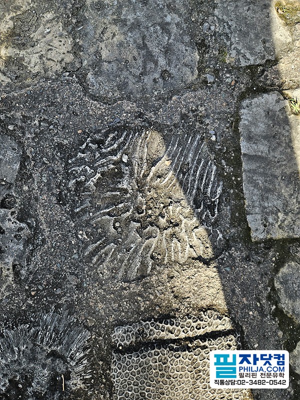 필자닷컴 투어후기