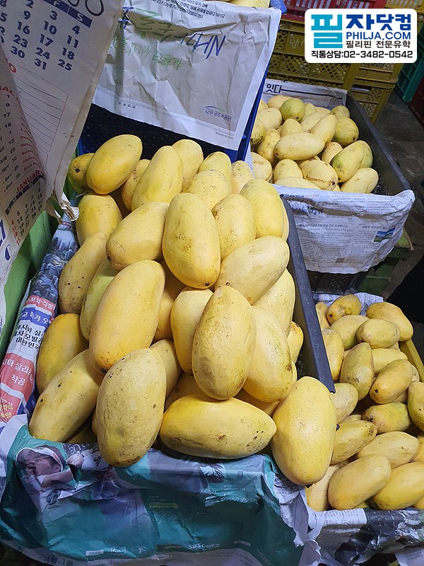 필자닷컴 투어후기